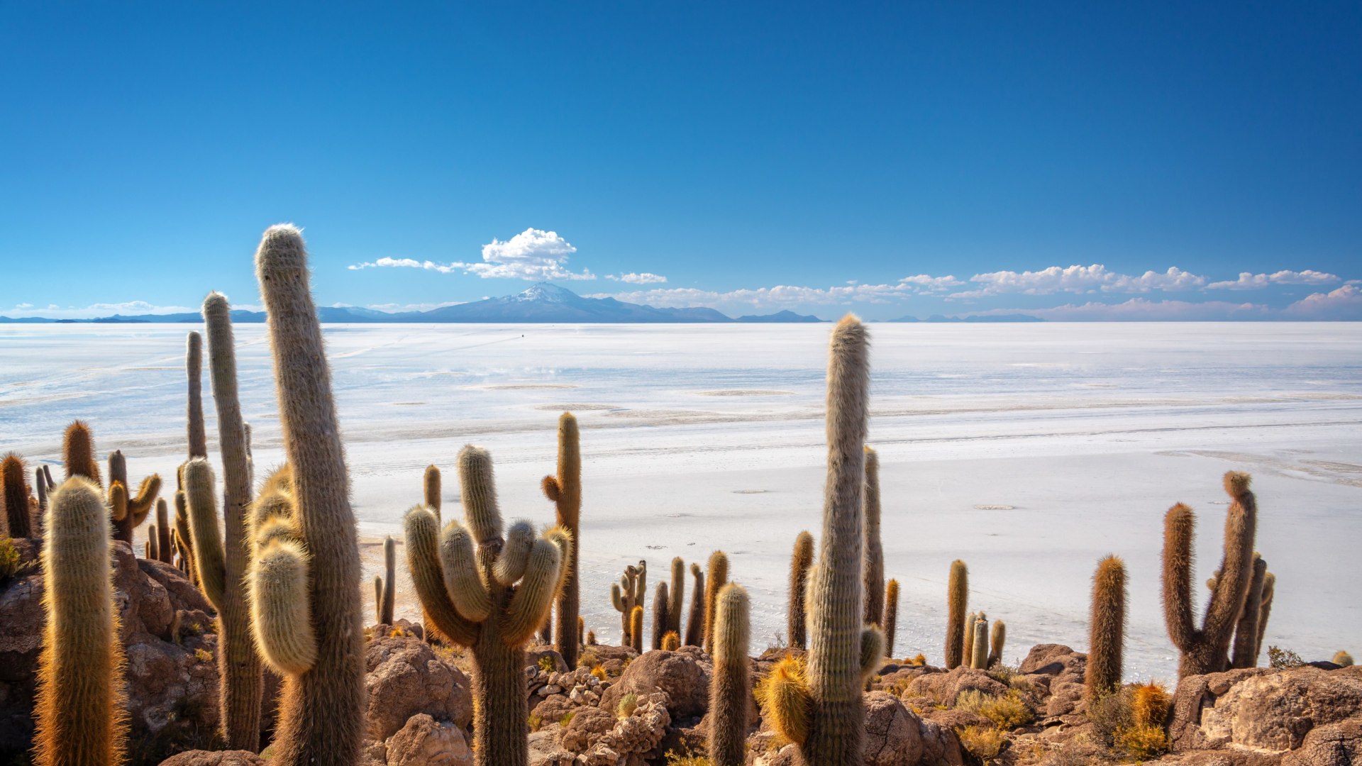 Trekkingabenteuer in den bolivianischen Anden